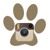 Follow Lawton Veterinary Hospital on Instagram!