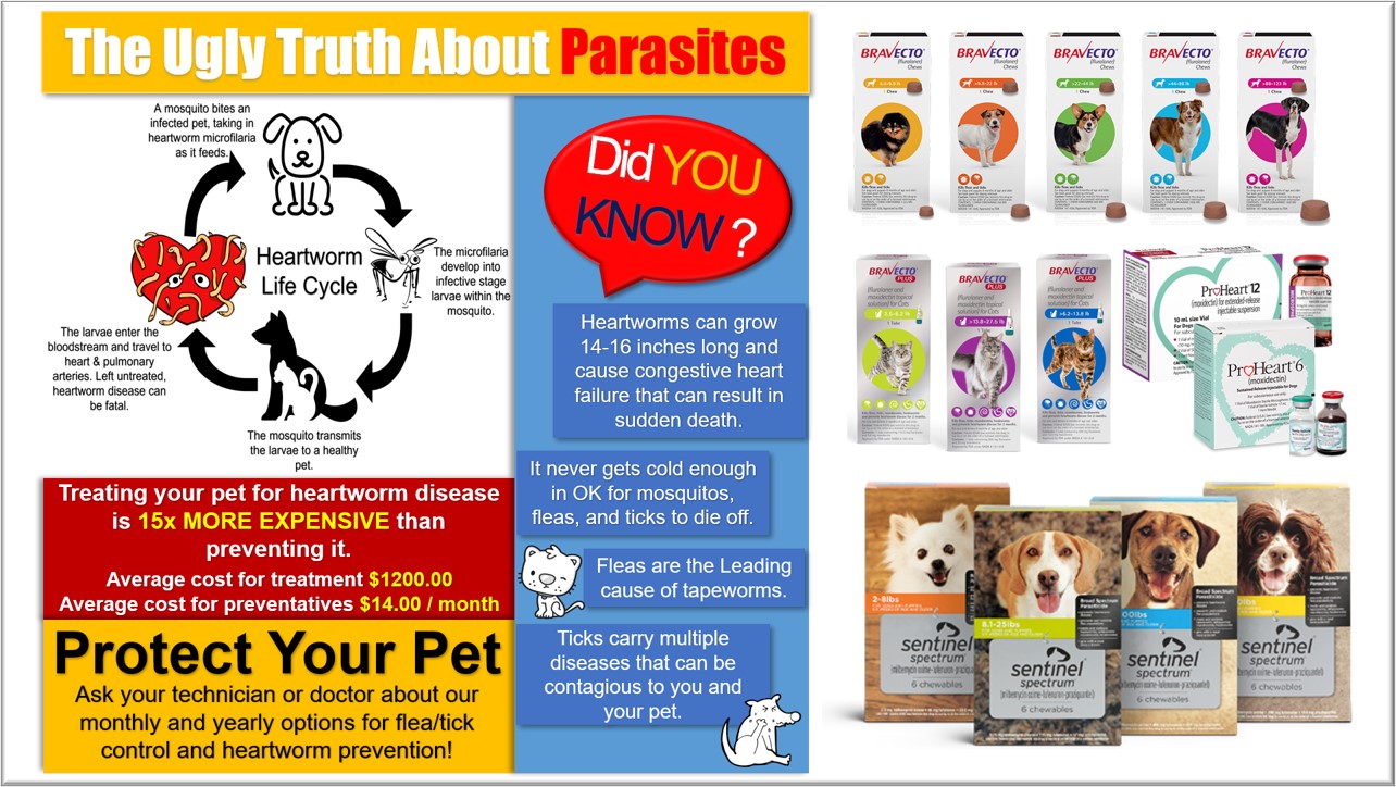 Ugly Truth about parasites