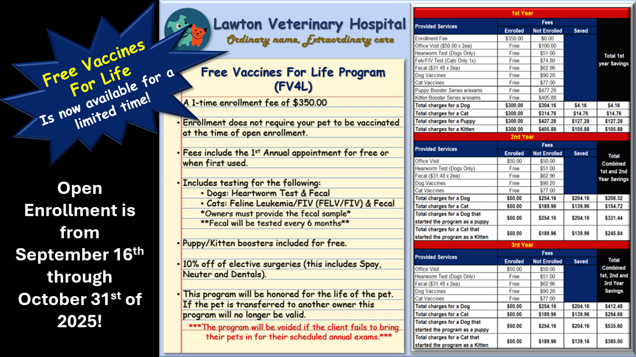 FV4L Advertisement (2025)
