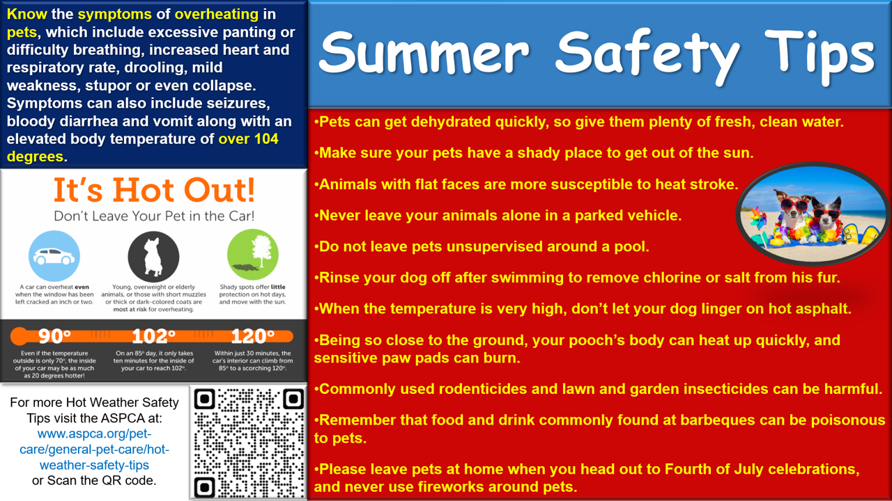 summer safety tips